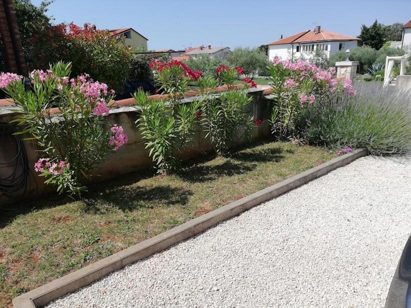 Apartments Oleander Lovrecica-Residence With Pool Zewnętrze zdjęcie